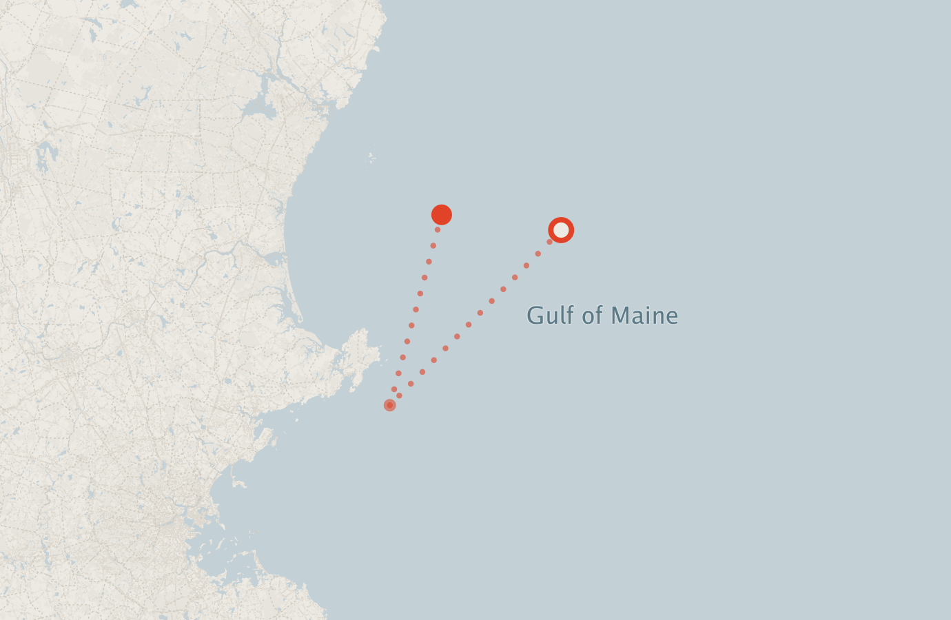 Activity map — real sighting points on an OpenStreetMap basemap