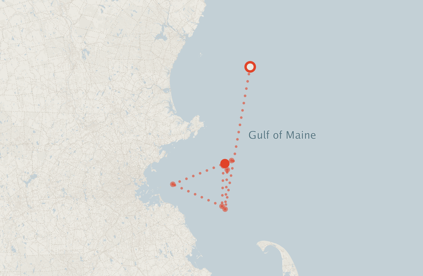 Activity map — real sighting points on an OpenStreetMap basemap