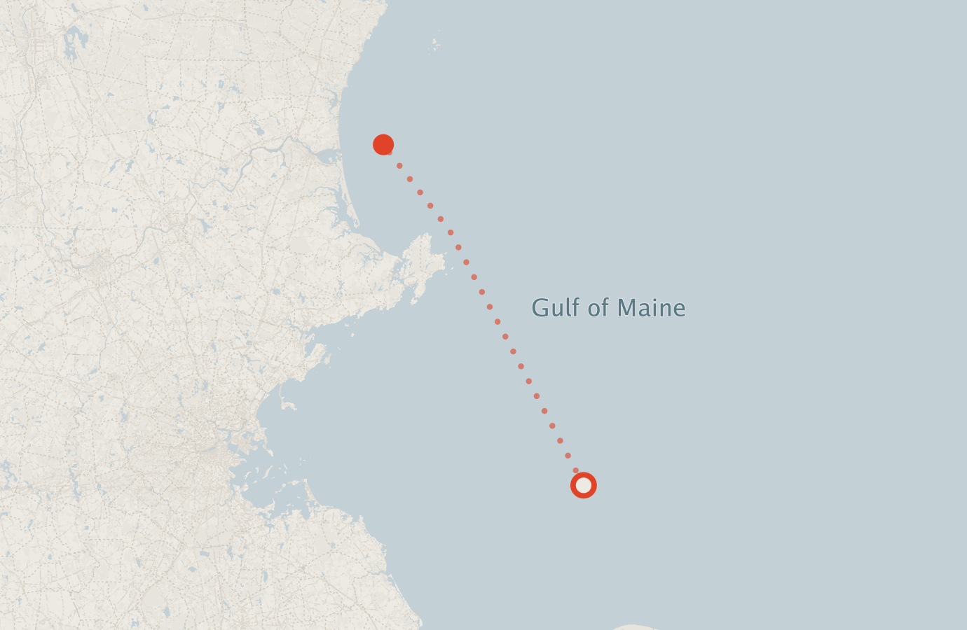 Activity map — real sighting points on an OpenStreetMap basemap