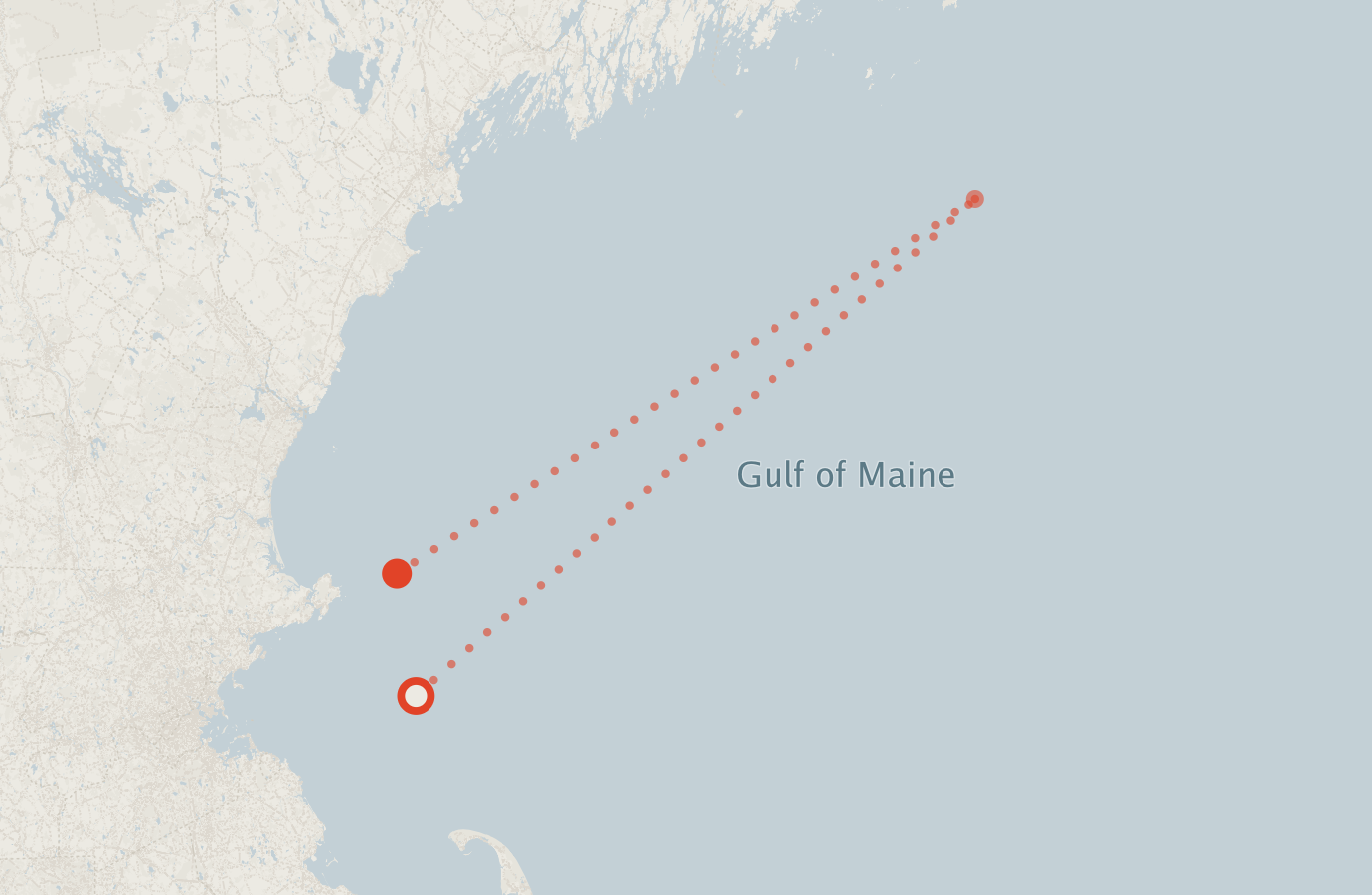 Activity map — real sighting points on an OpenStreetMap basemap