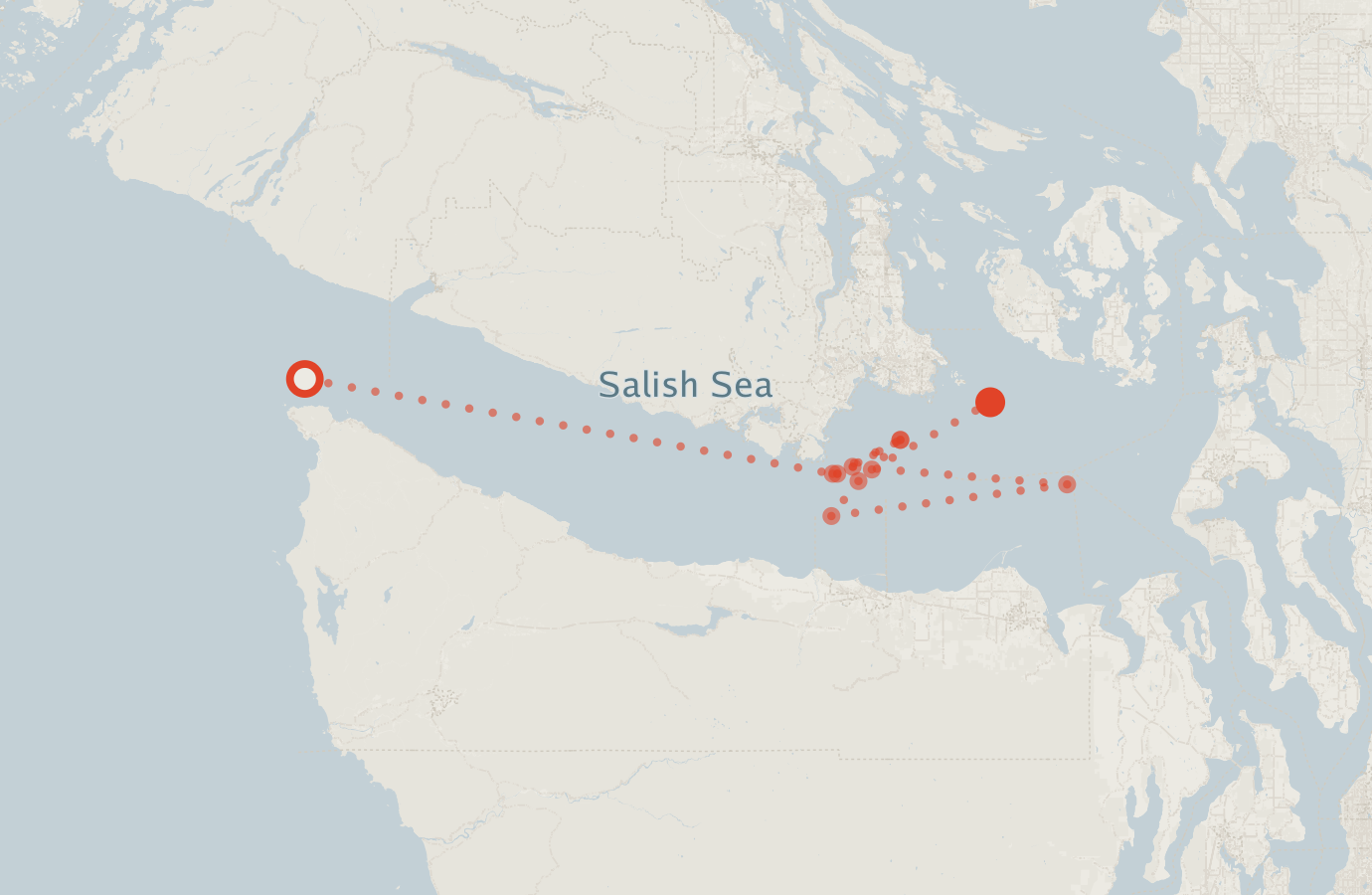Activity map — real sighting points on an OpenStreetMap basemap