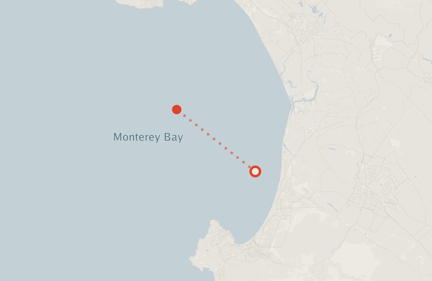 Activity map — real sighting points on an OpenStreetMap basemap