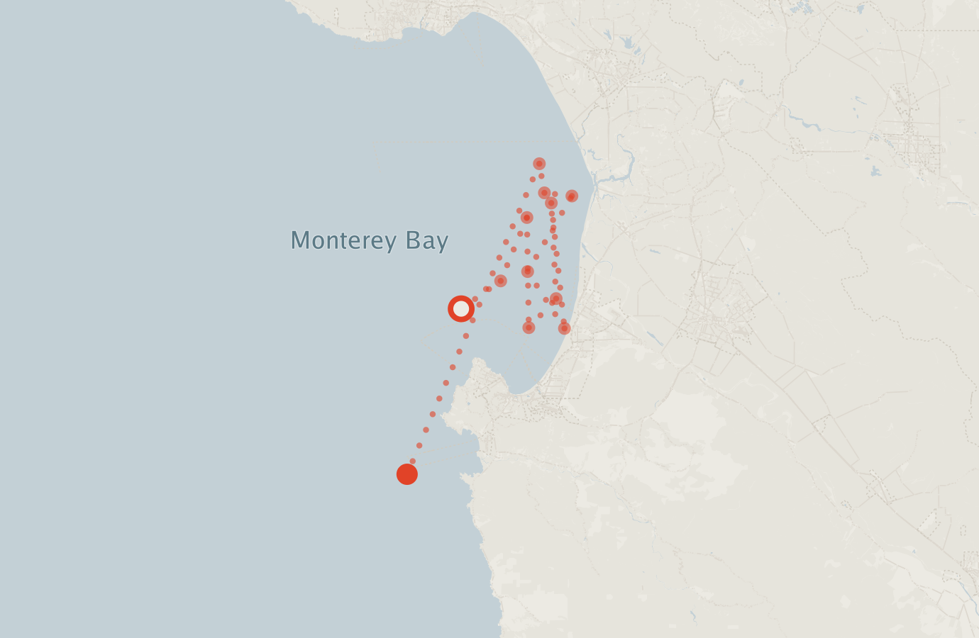 Activity map — real sighting points on an OpenStreetMap basemap