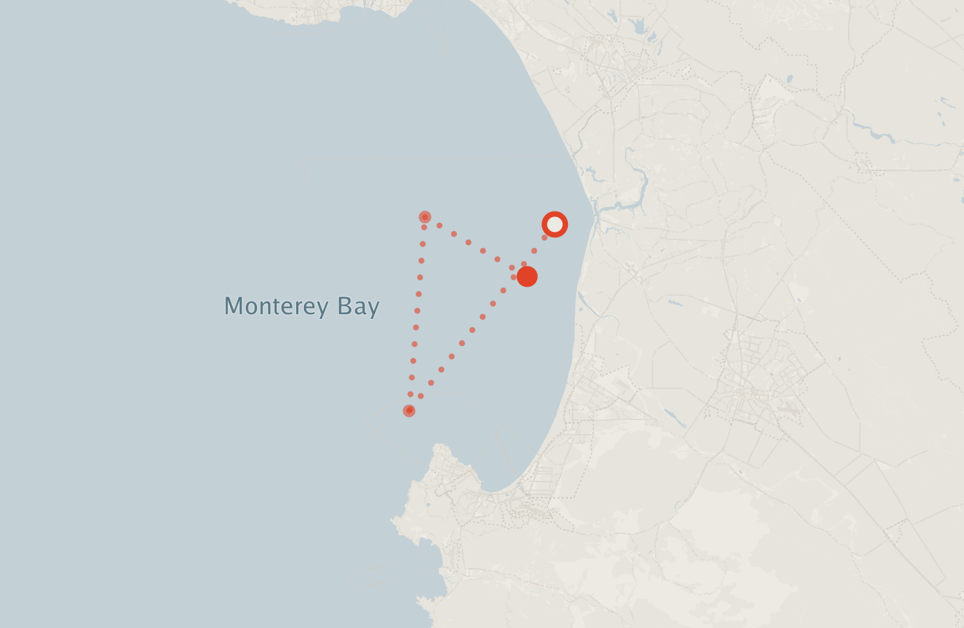 Activity map — real sighting points on an OpenStreetMap basemap