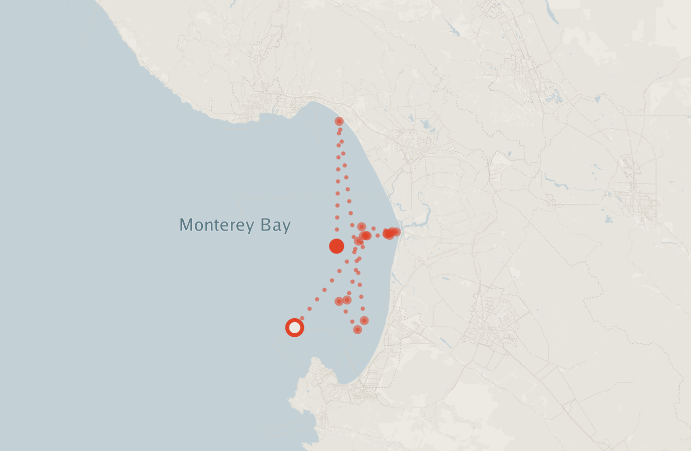 Activity map — real sighting points on an OpenStreetMap basemap