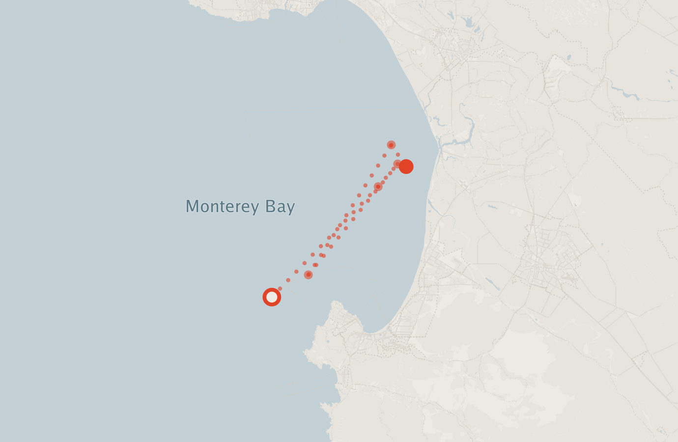 Activity map — real sighting points on an OpenStreetMap basemap