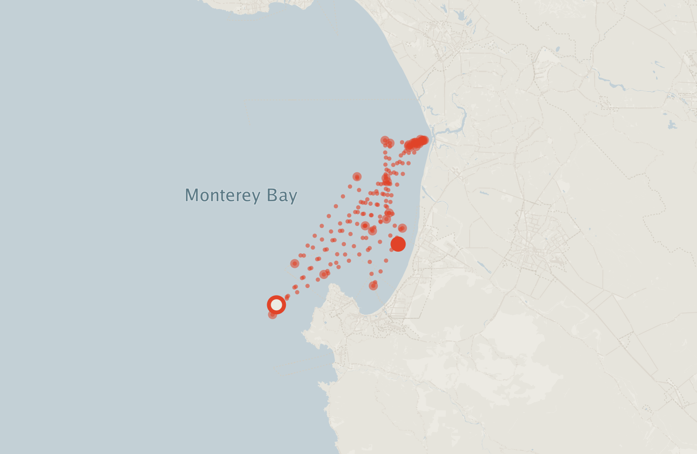 Activity map — real sighting points on an OpenStreetMap basemap