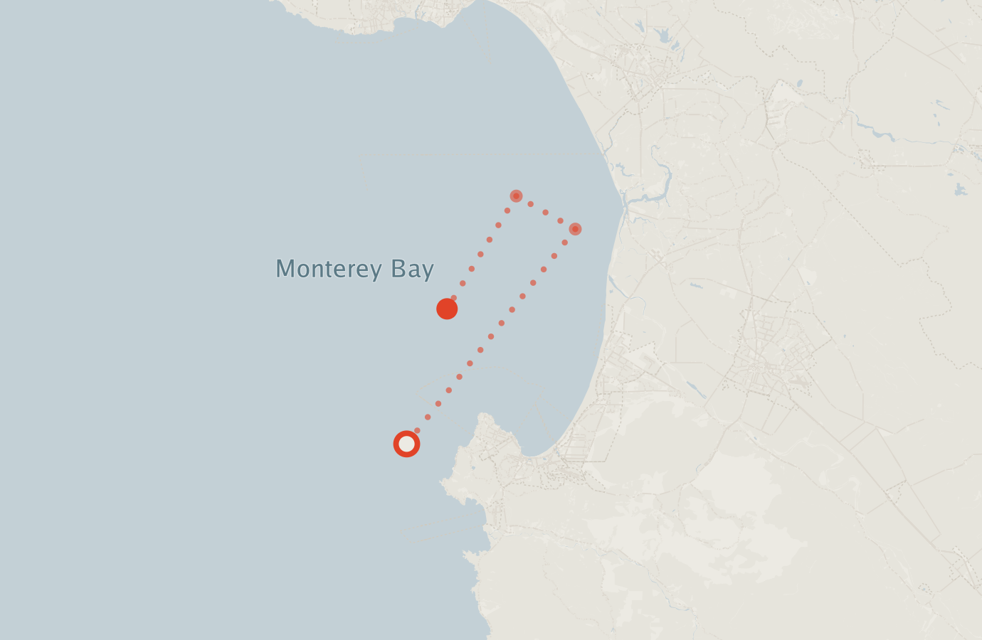 Activity map — real sighting points on an OpenStreetMap basemap