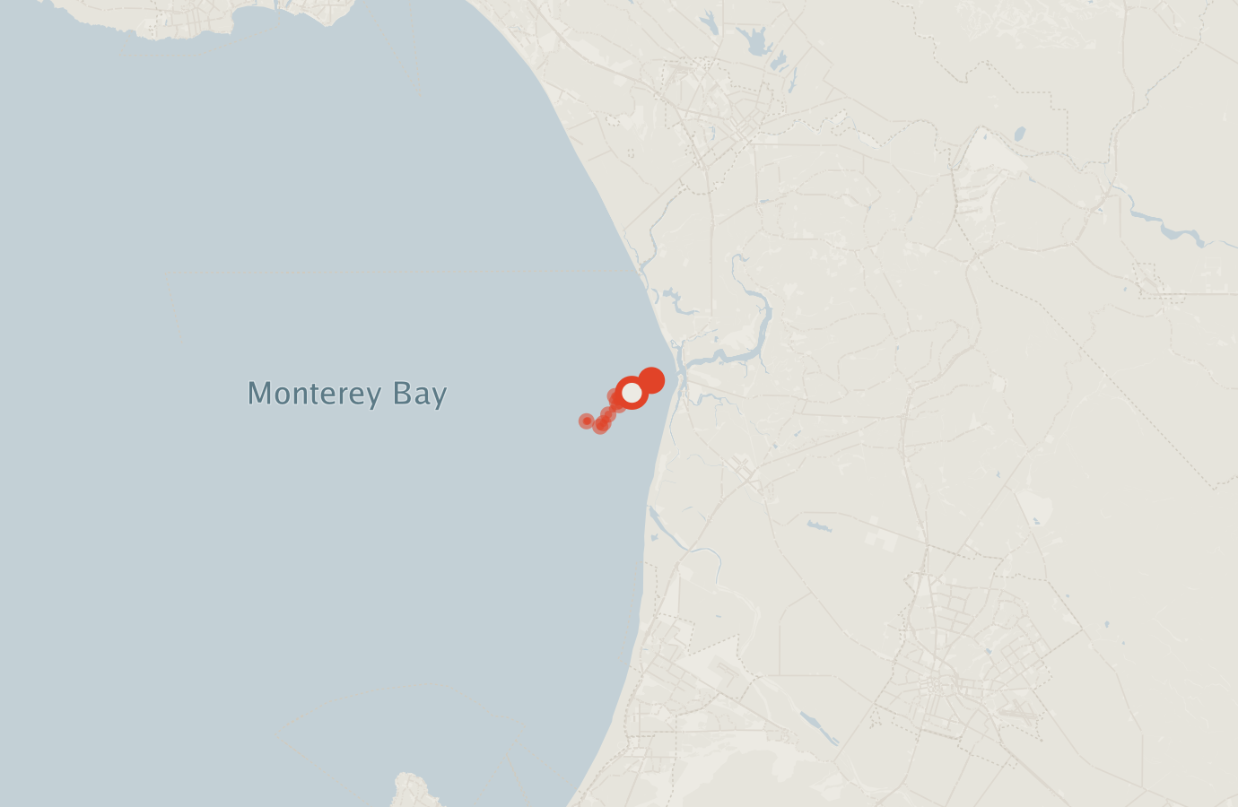 Activity map — real sighting points on an OpenStreetMap basemap