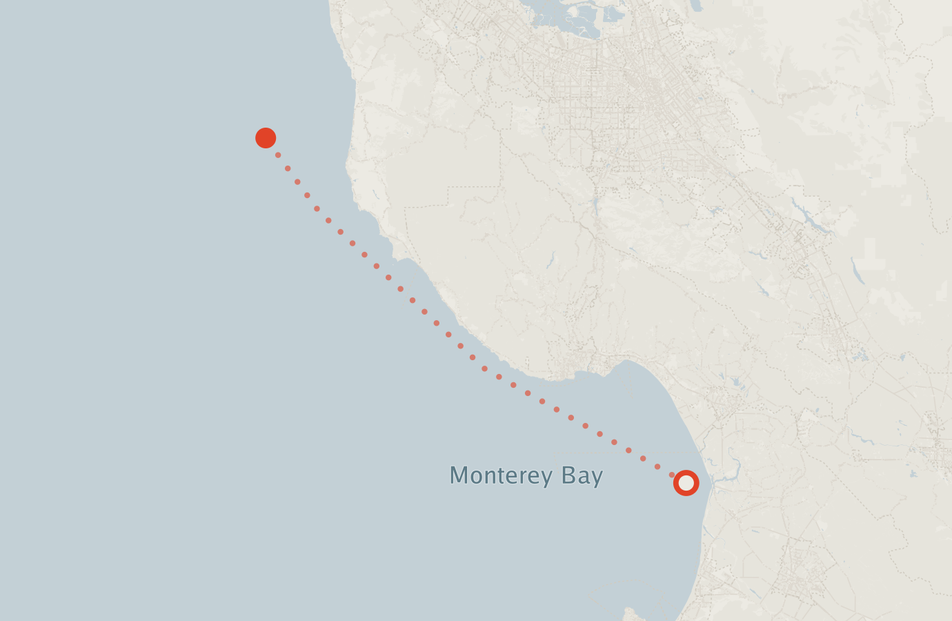 Activity map — real sighting points on an OpenStreetMap basemap