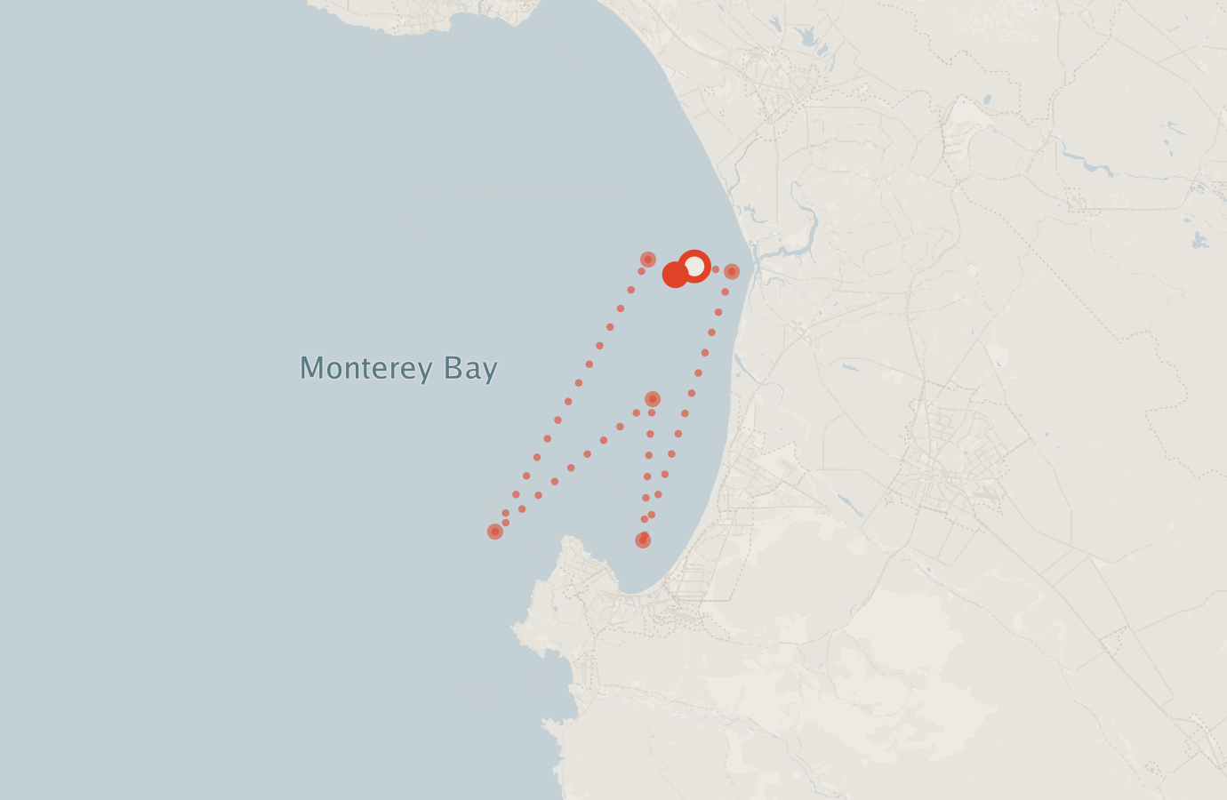 Activity map — real sighting points on an OpenStreetMap basemap