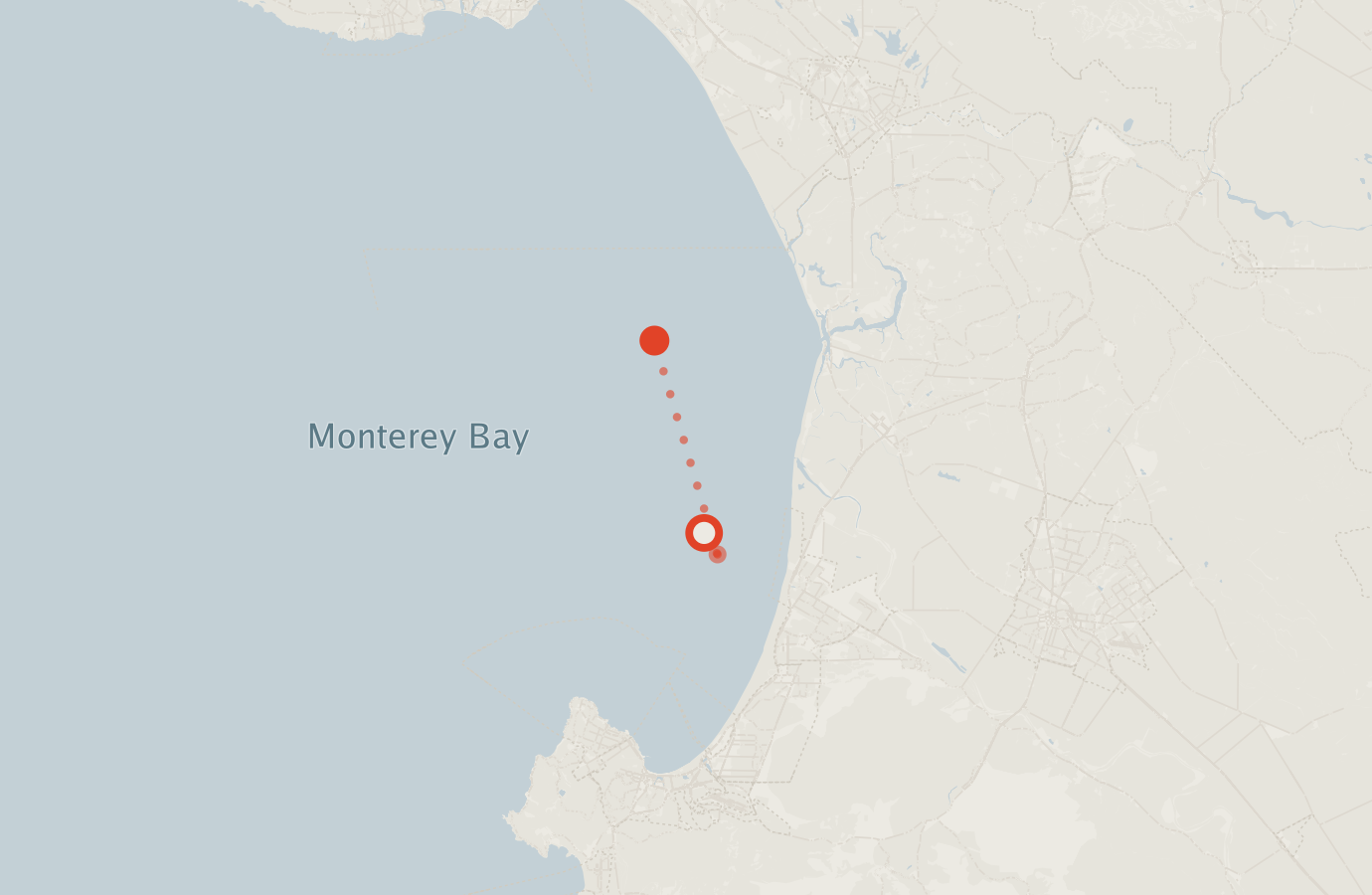 Activity map — real sighting points on an OpenStreetMap basemap