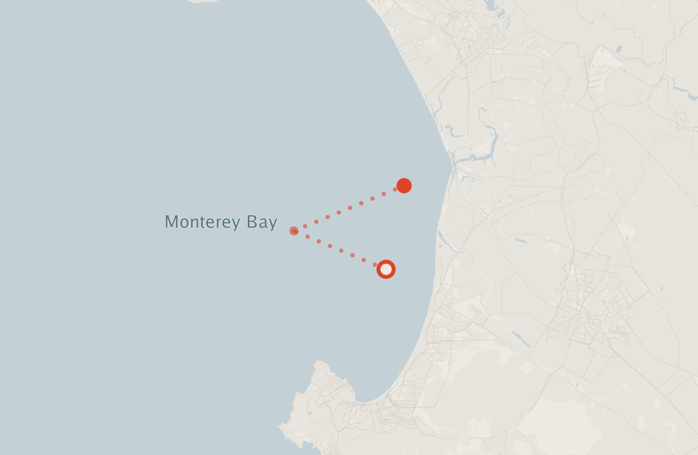 Activity map — real sighting points on an OpenStreetMap basemap