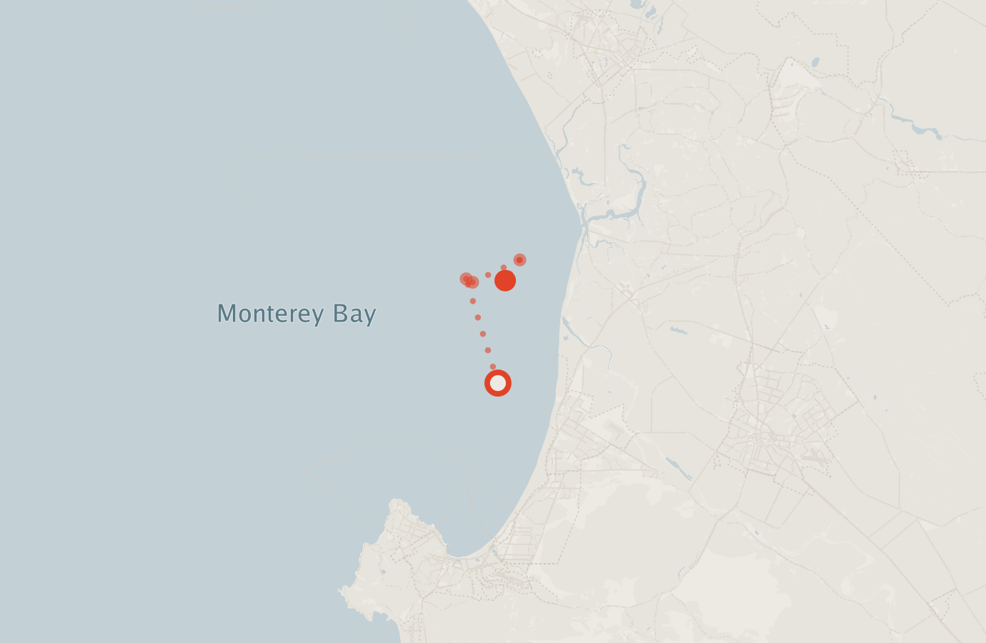 Activity map — real sighting points on an OpenStreetMap basemap