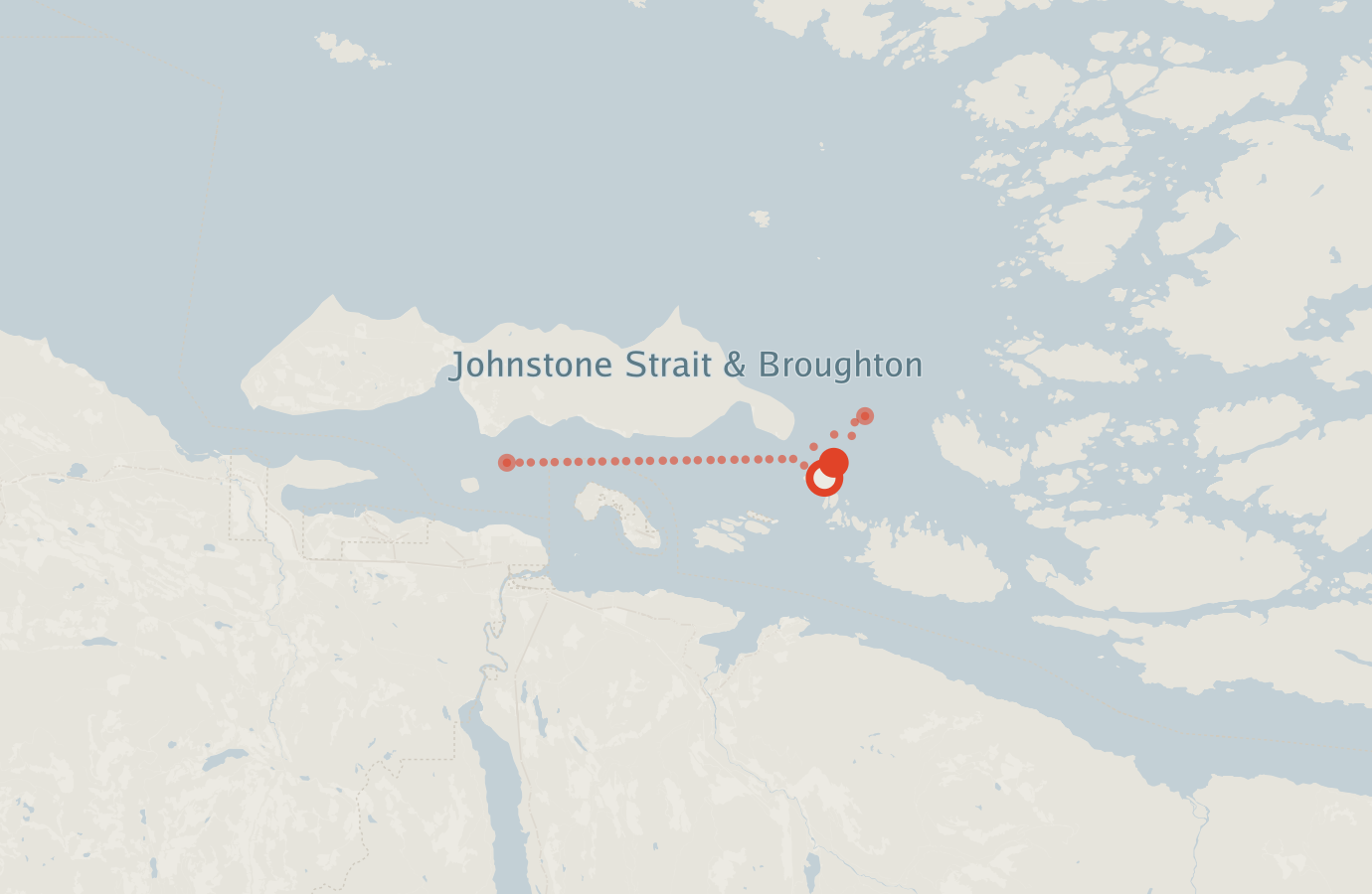 Activity map — real sighting points on an OpenStreetMap basemap
