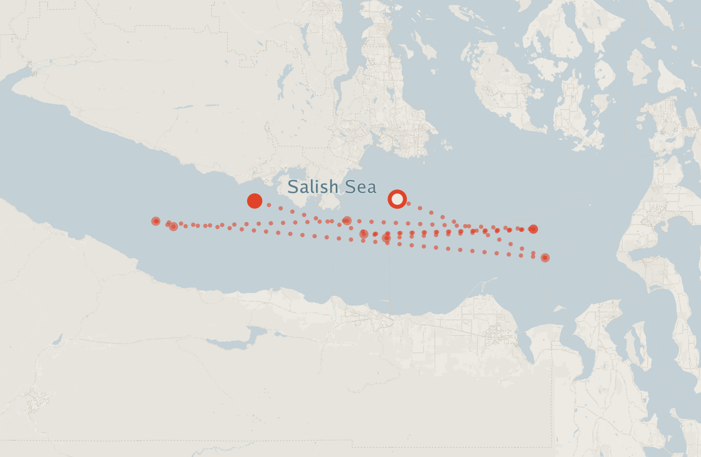 Activity map — real sighting points on an OpenStreetMap basemap