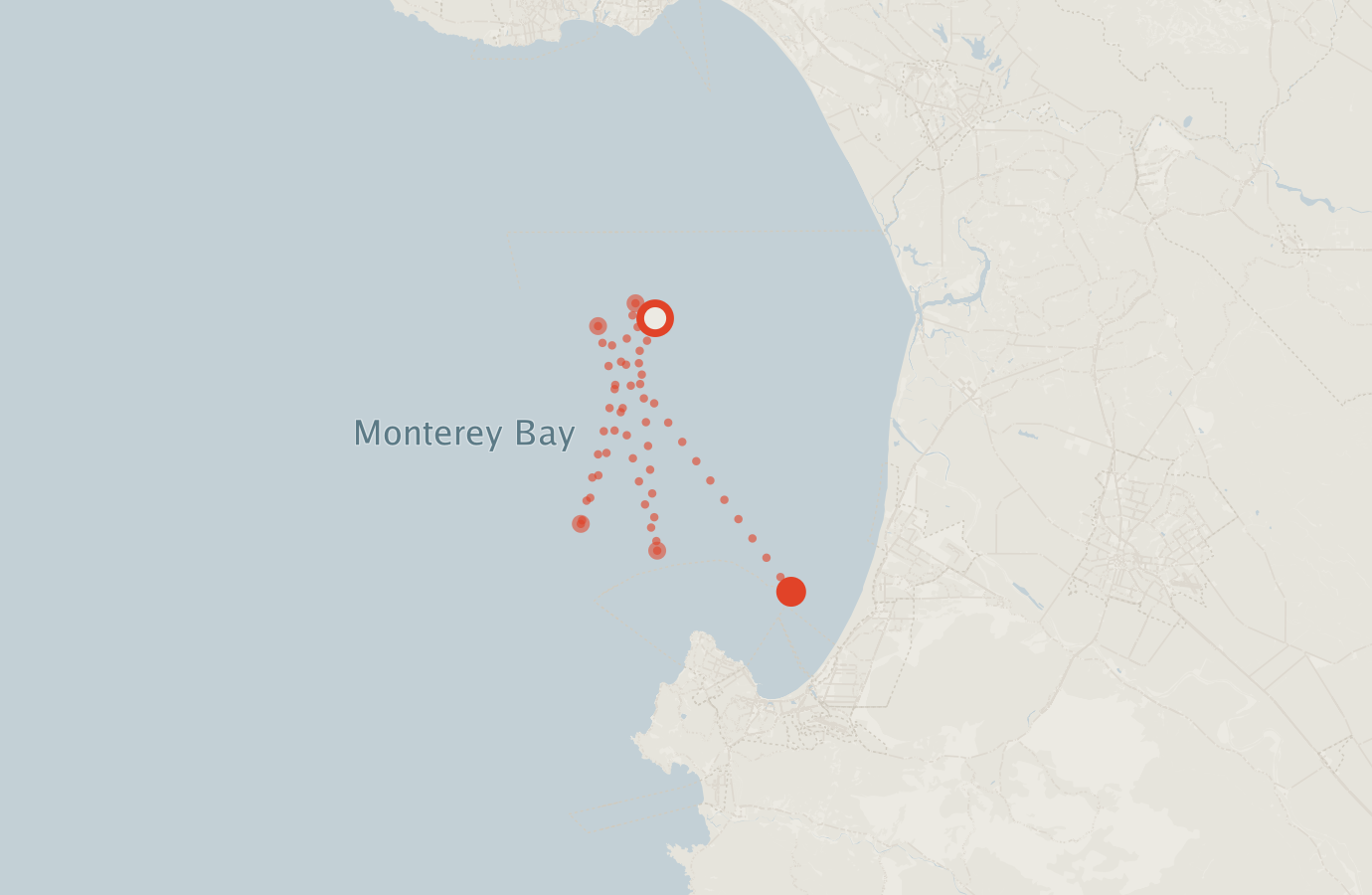 Activity map — real sighting points on an OpenStreetMap basemap