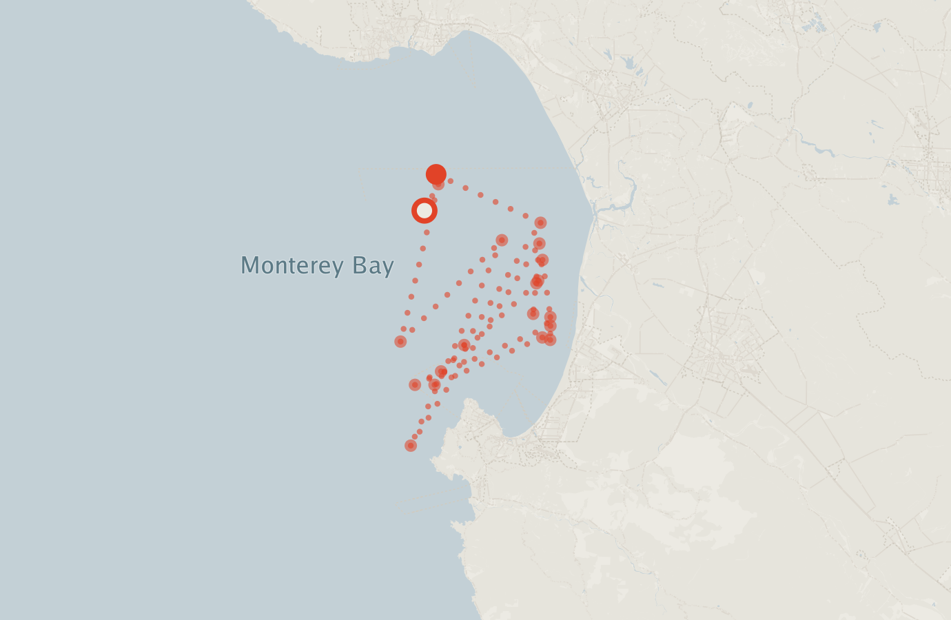 Activity map — real sighting points on an OpenStreetMap basemap