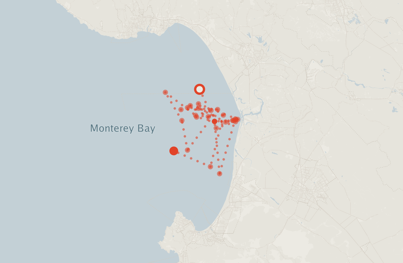 Activity map — real sighting points on an OpenStreetMap basemap