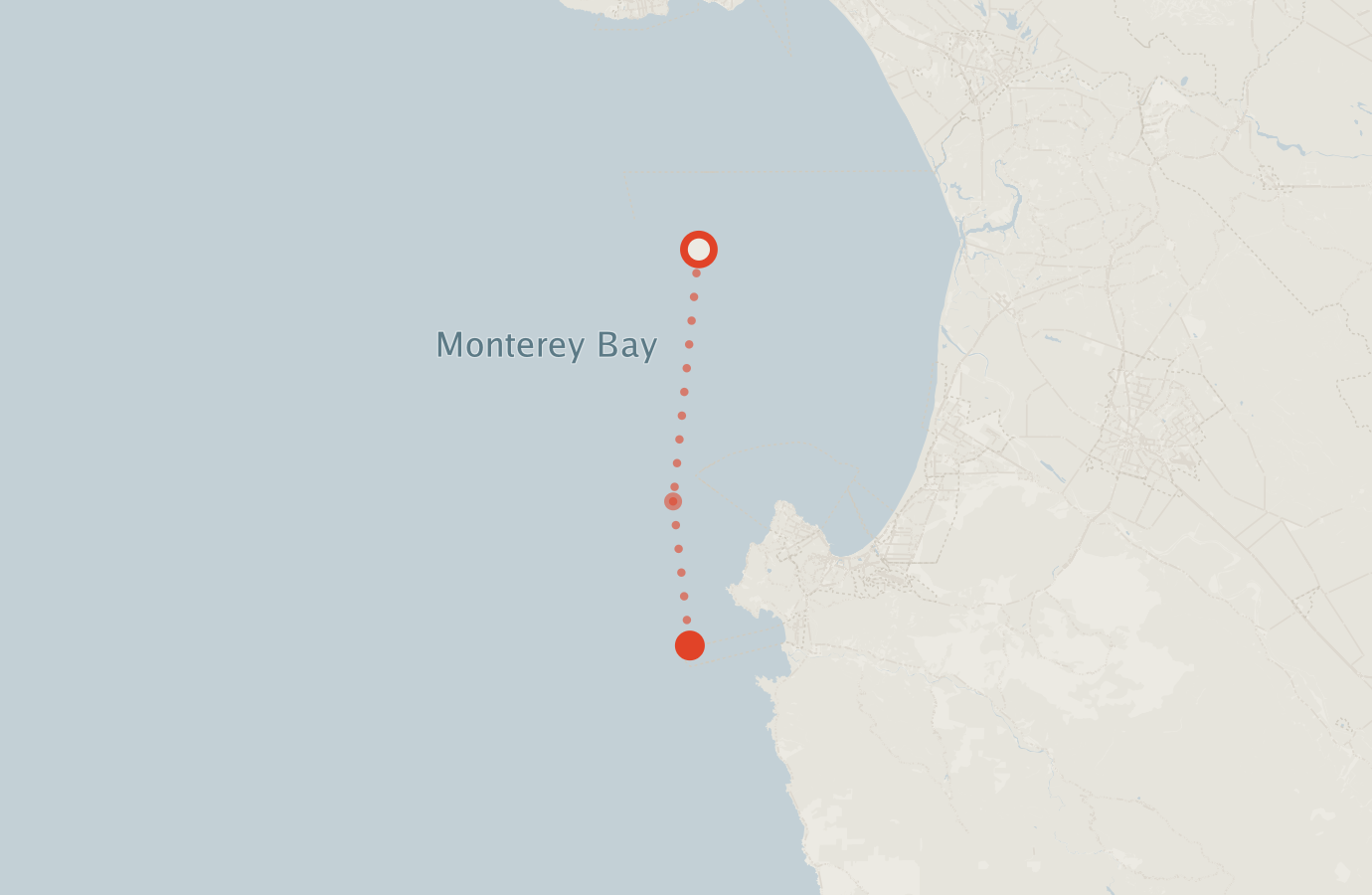 Activity map — real sighting points on an OpenStreetMap basemap