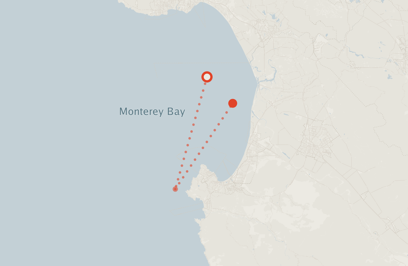 Activity map — real sighting points on an OpenStreetMap basemap