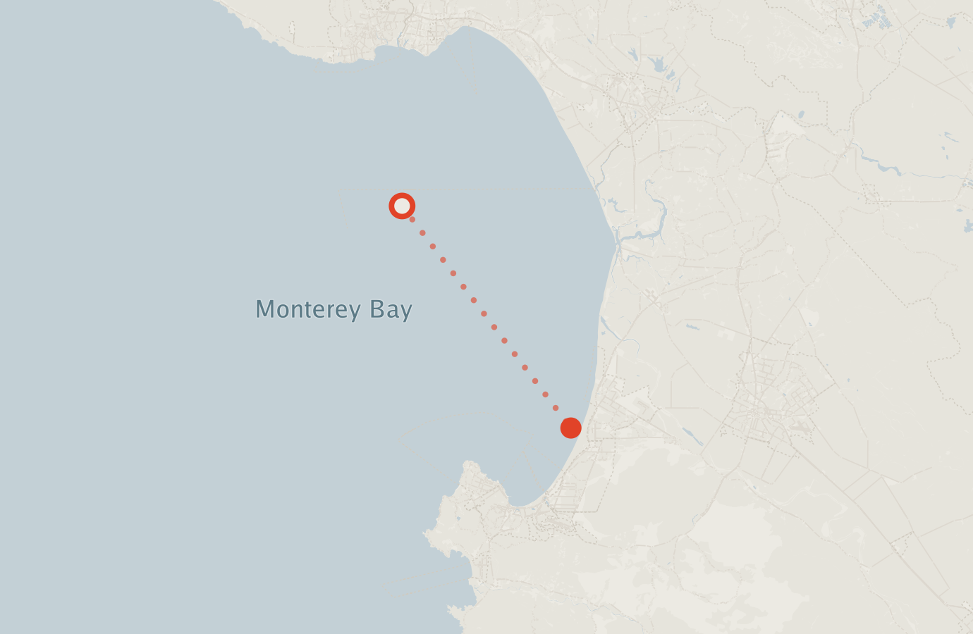 Activity map — real sighting points on an OpenStreetMap basemap