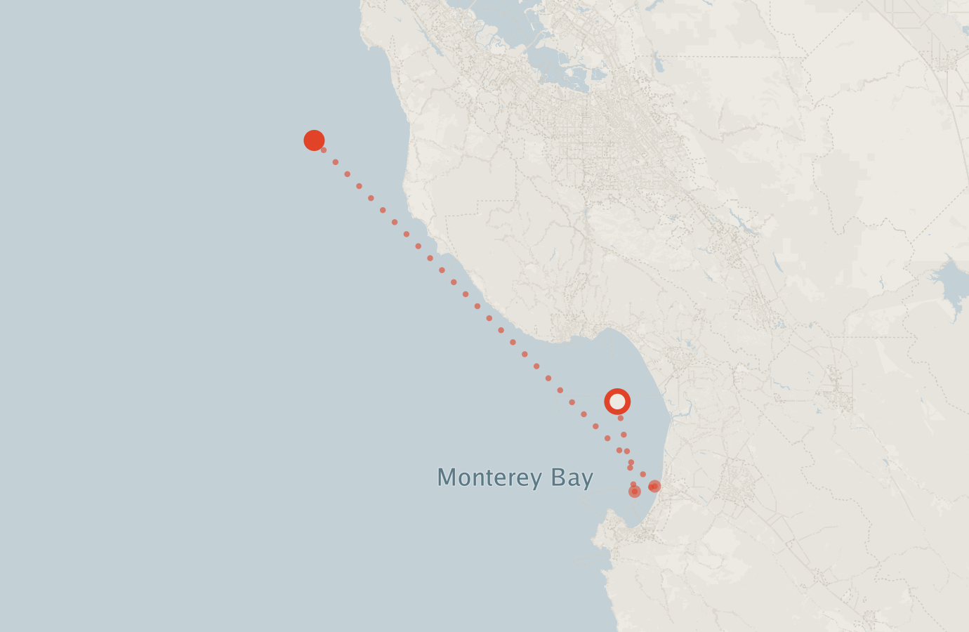 Activity map — real sighting points on an OpenStreetMap basemap