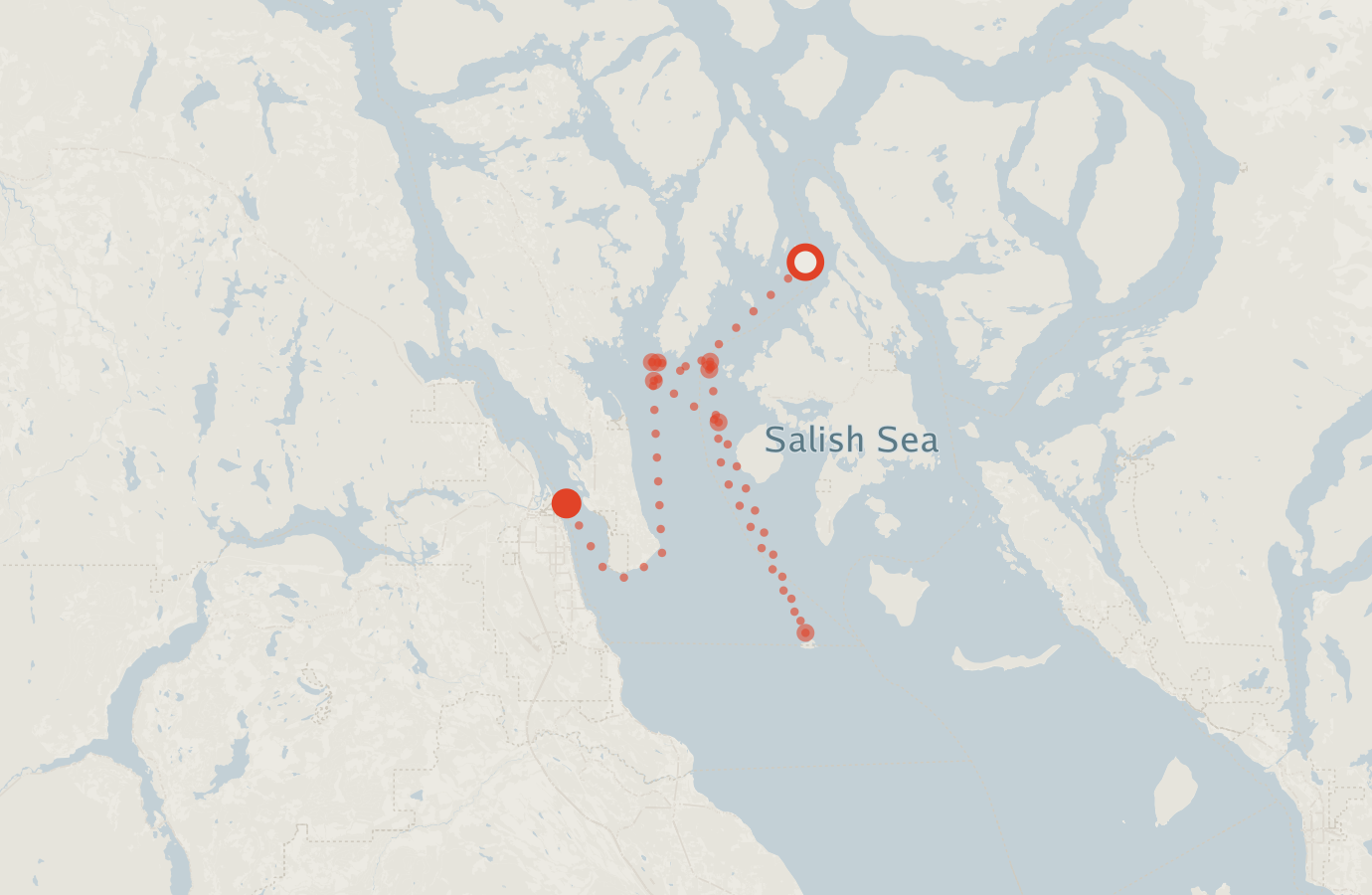 Activity map — real sighting points on an OpenStreetMap basemap