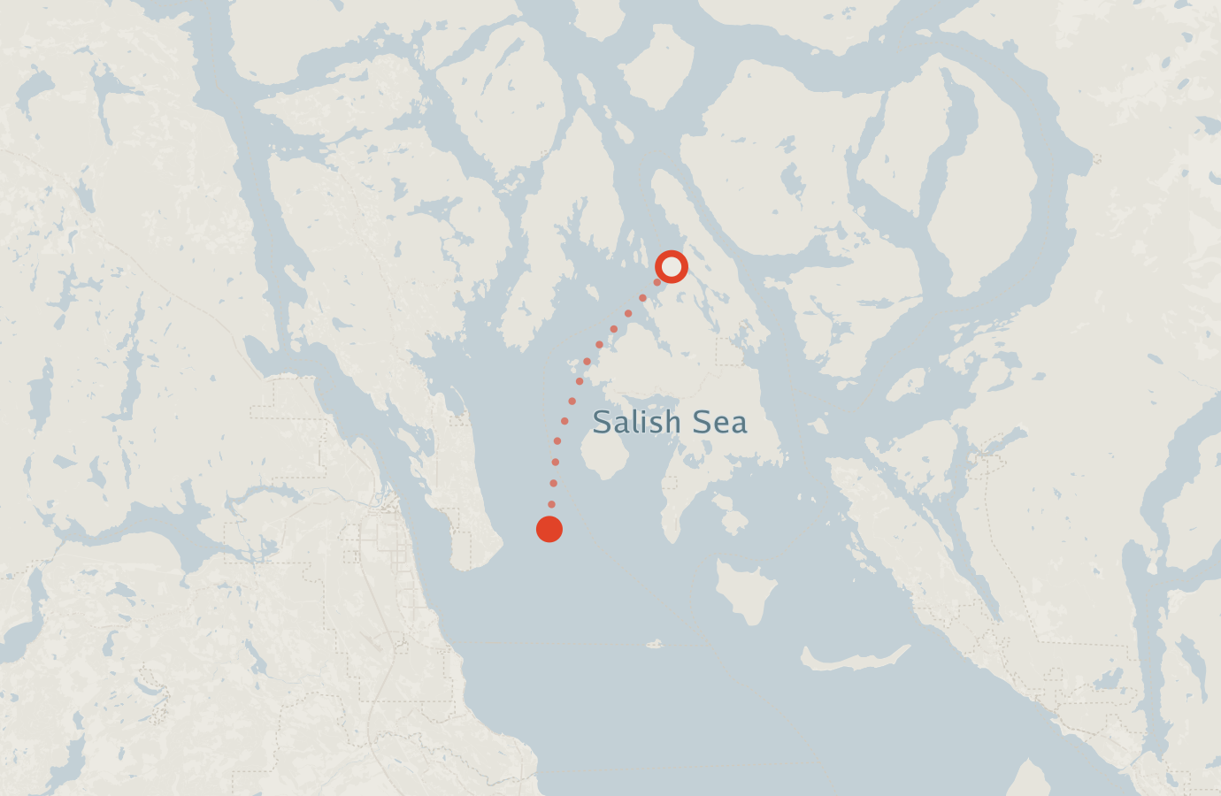 Activity map — real sighting points on an OpenStreetMap basemap