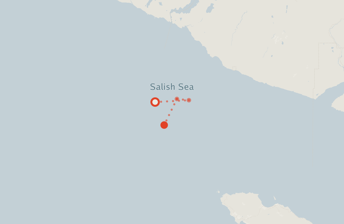 Activity map — real sighting points on an OpenStreetMap basemap