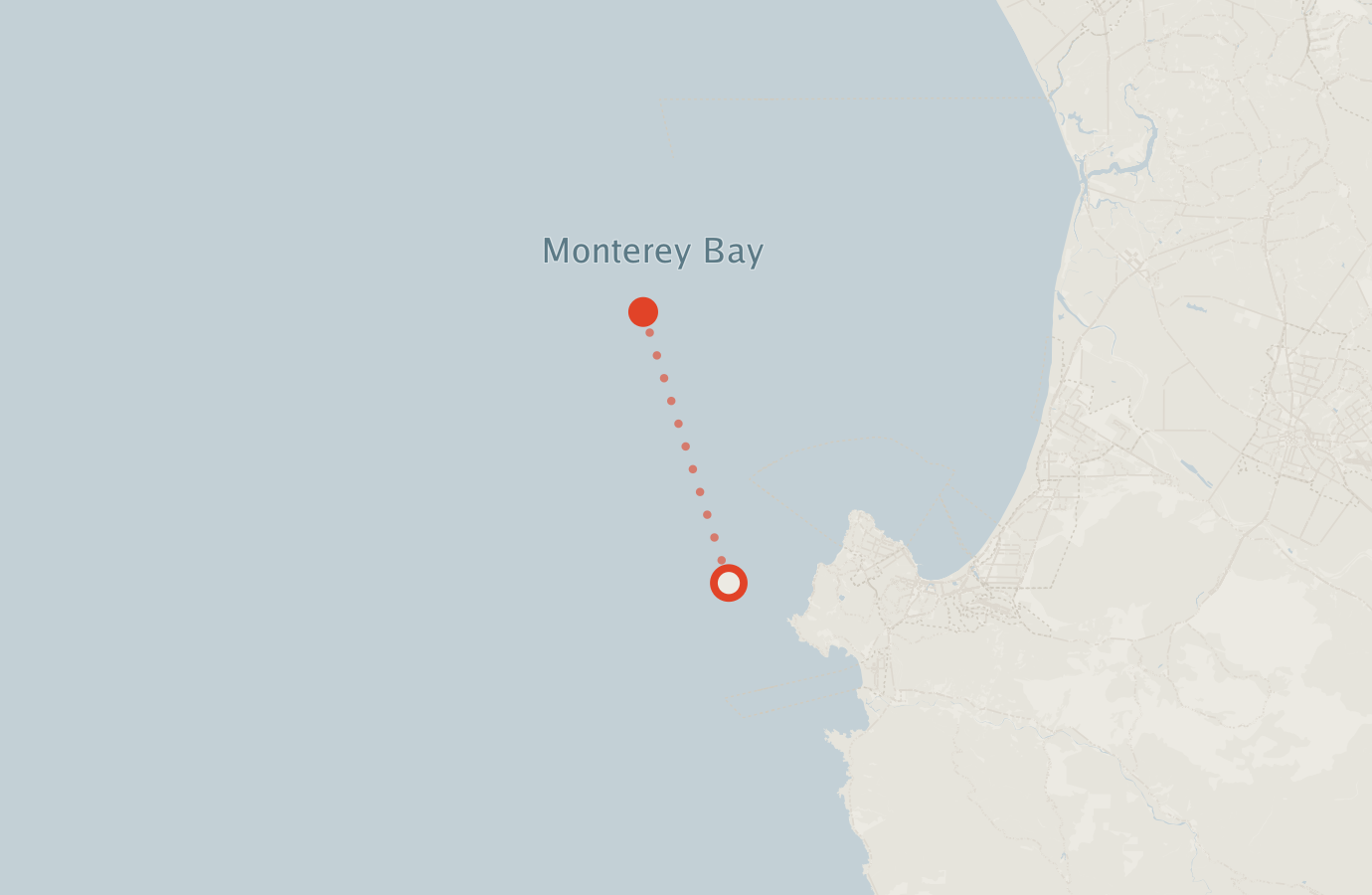 Activity map — real sighting points on an OpenStreetMap basemap