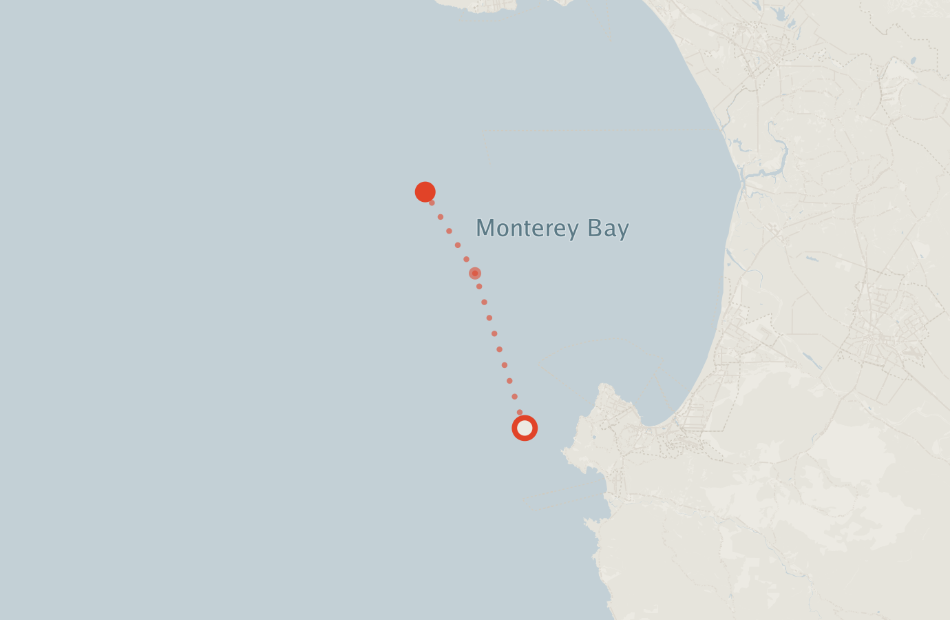 Activity map — real sighting points on an OpenStreetMap basemap