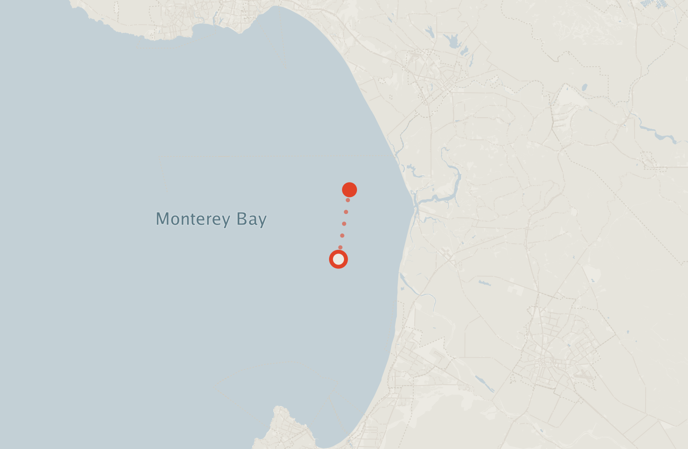 Activity map — real sighting points on an OpenStreetMap basemap