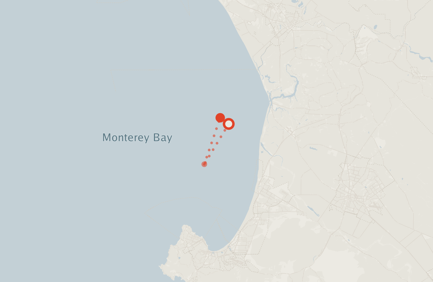 Activity map — real sighting points on an OpenStreetMap basemap