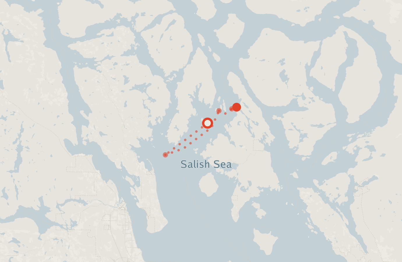 Activity map — real sighting points on an OpenStreetMap basemap