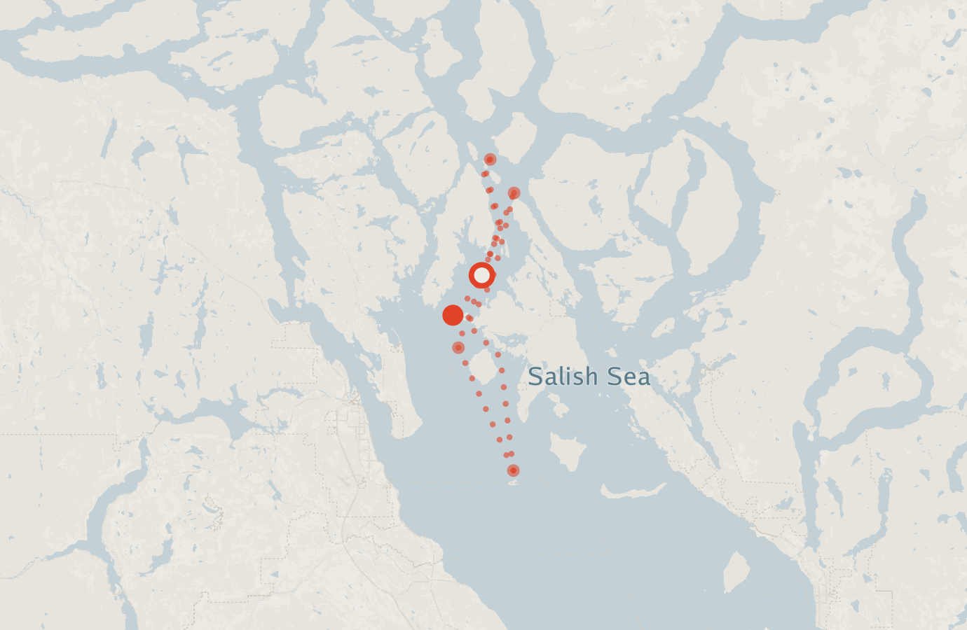 Activity map — real sighting points on an OpenStreetMap basemap
