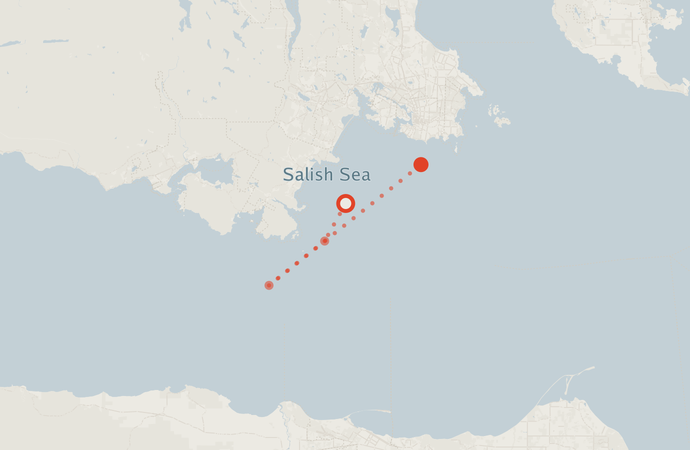 Activity map — real sighting points on an OpenStreetMap basemap