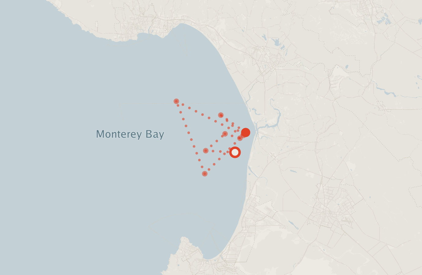 Activity map — real sighting points on an OpenStreetMap basemap