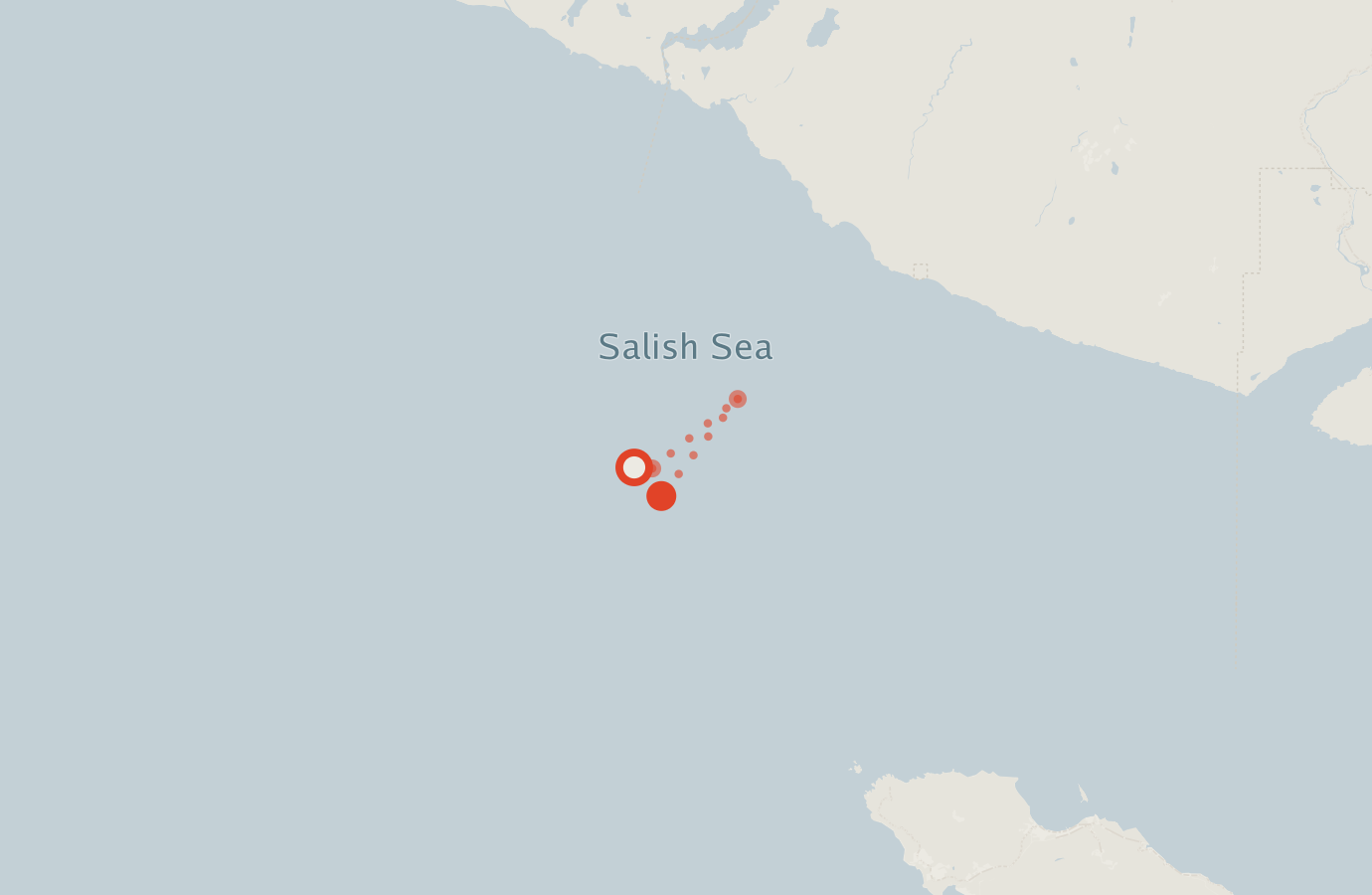 Activity map — real sighting points on an OpenStreetMap basemap