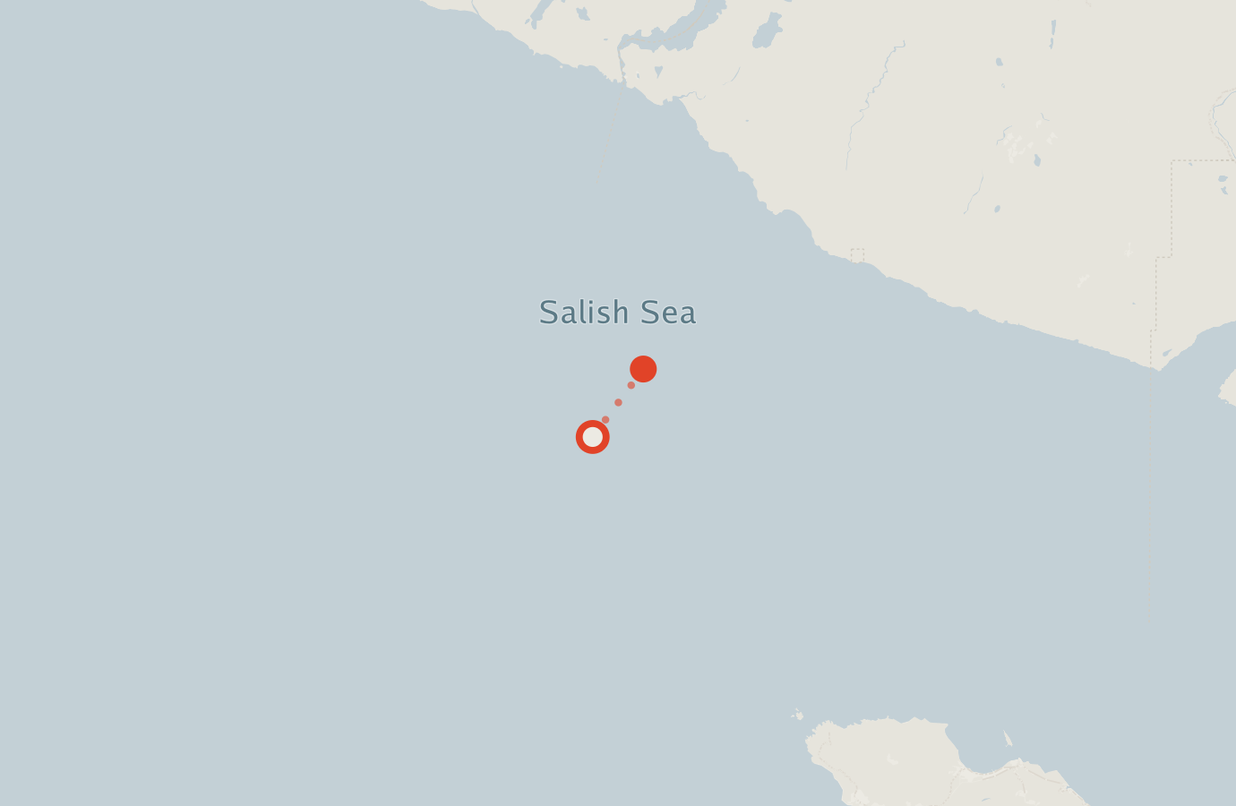 Activity map — real sighting points on an OpenStreetMap basemap