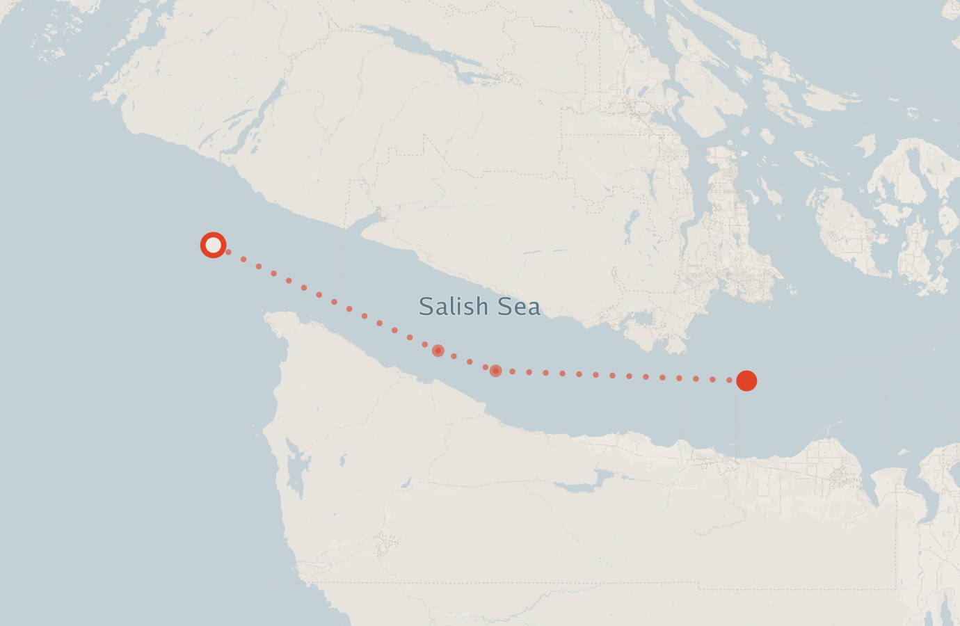 Activity map — real sighting points on an OpenStreetMap basemap