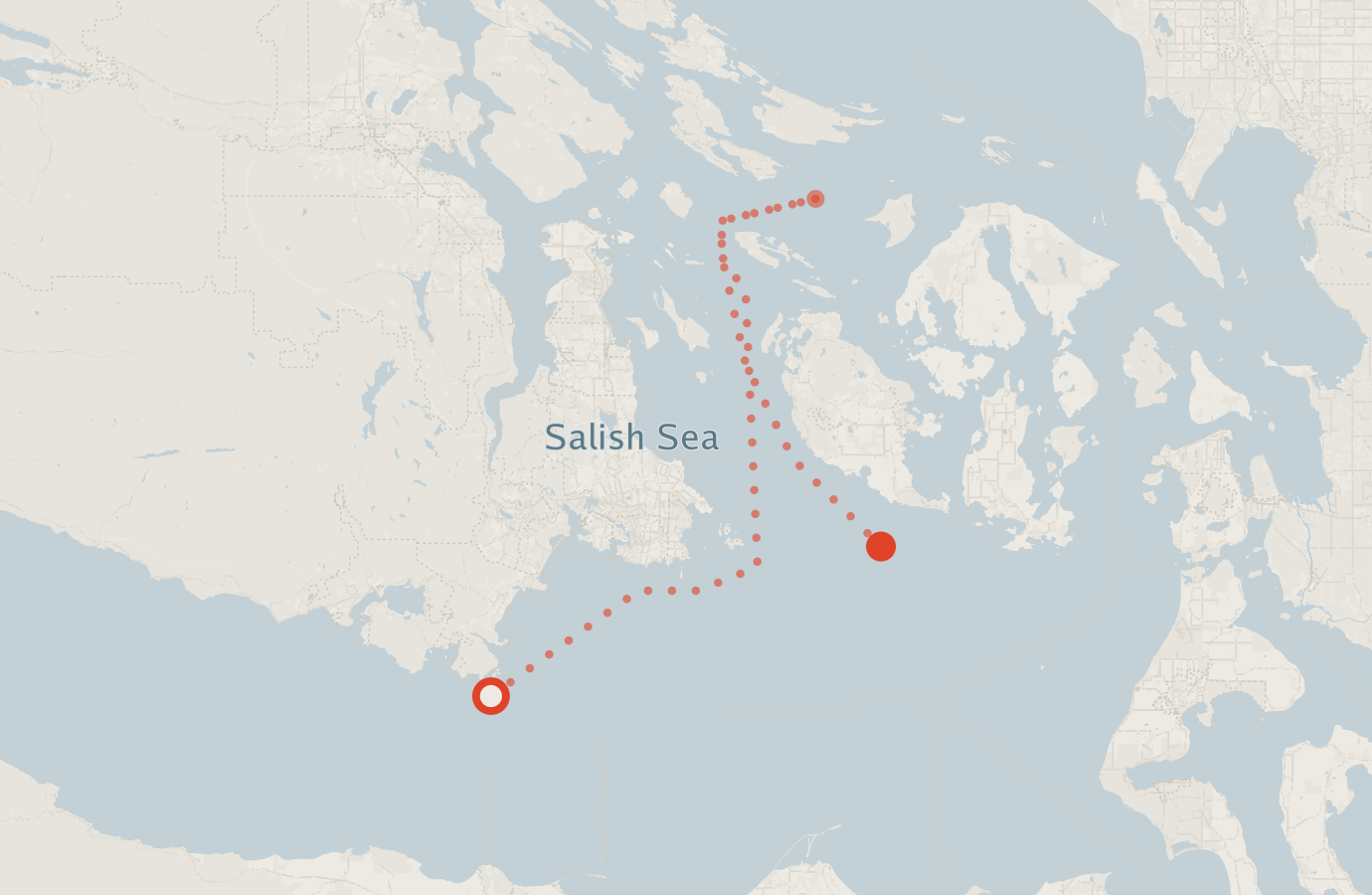 Activity map — real sighting points on an OpenStreetMap basemap