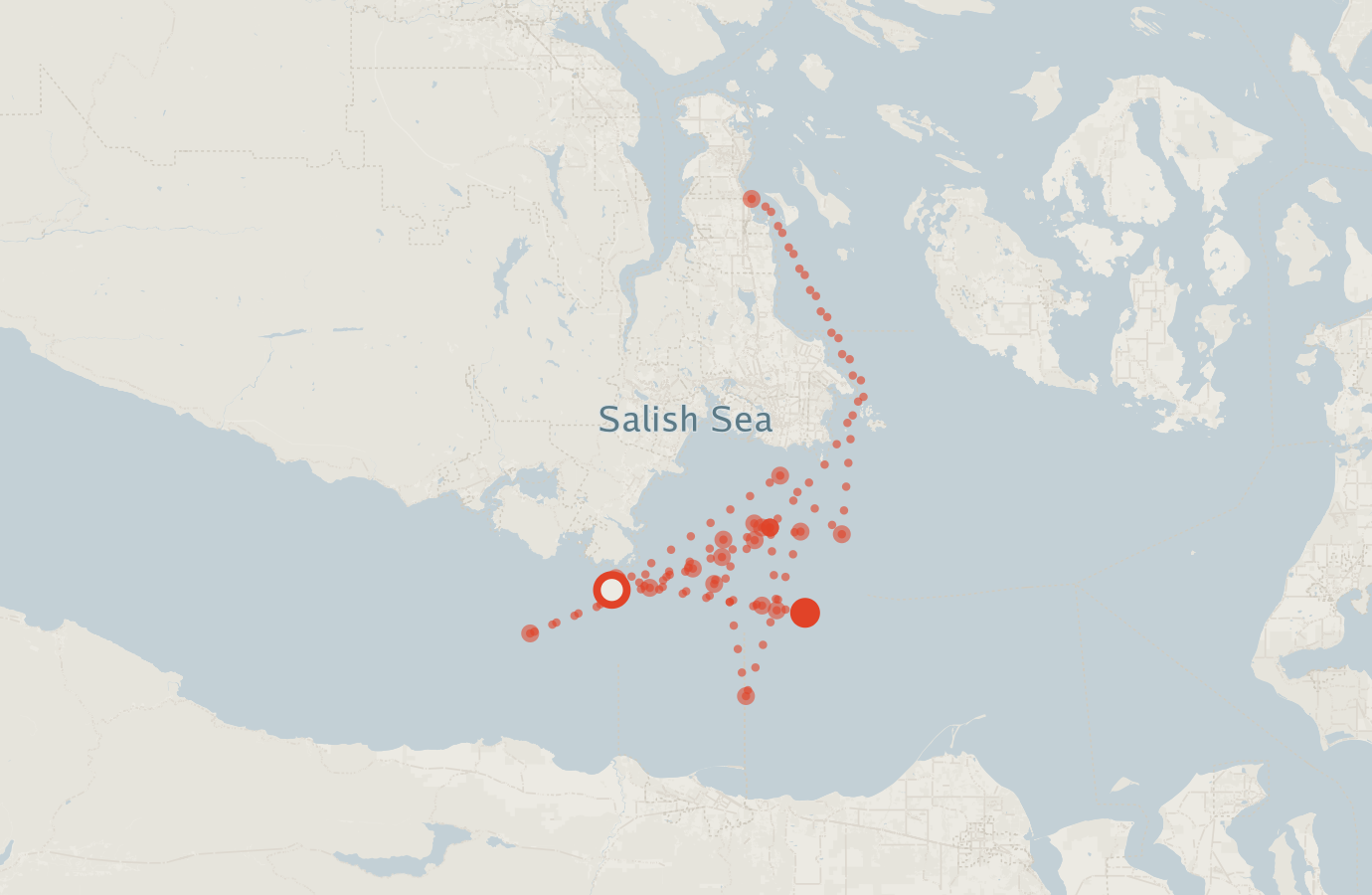 Activity map — real sighting points on an OpenStreetMap basemap