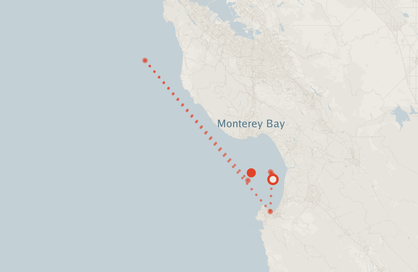 Activity map — real sighting points on an OpenStreetMap basemap