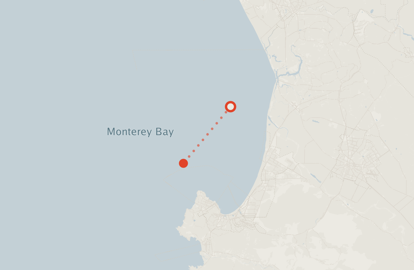 Activity map — real sighting points on an OpenStreetMap basemap