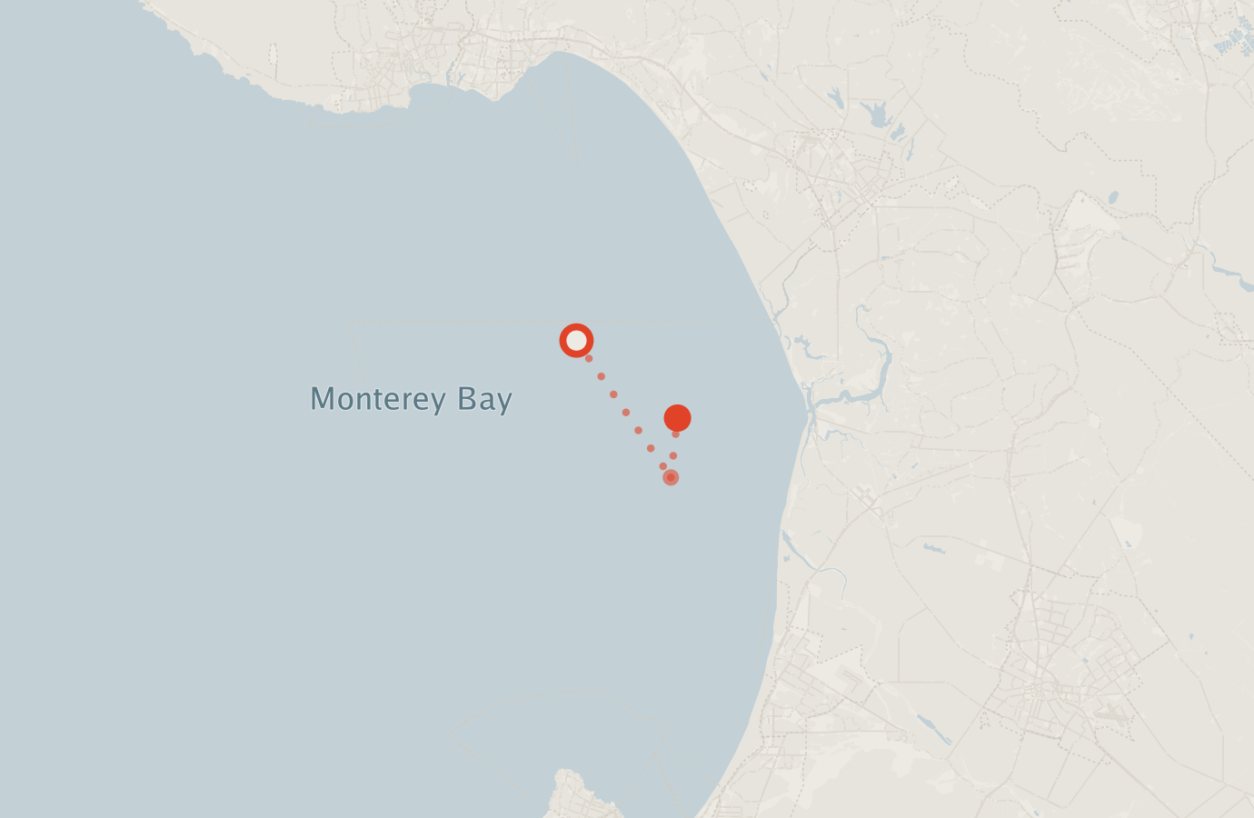 Activity map — real sighting points on an OpenStreetMap basemap