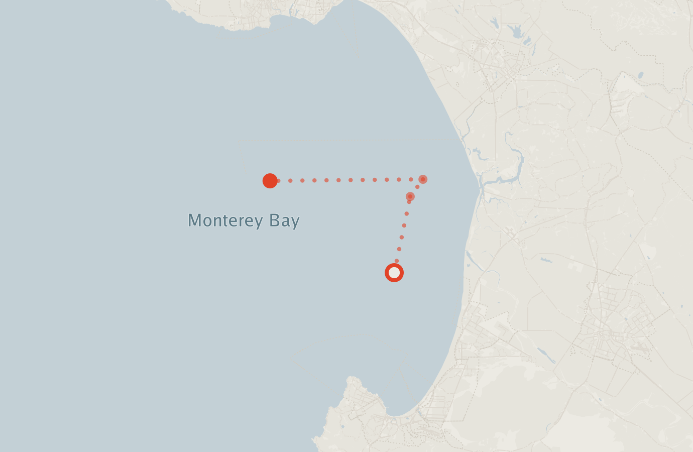 Activity map — real sighting points on an OpenStreetMap basemap