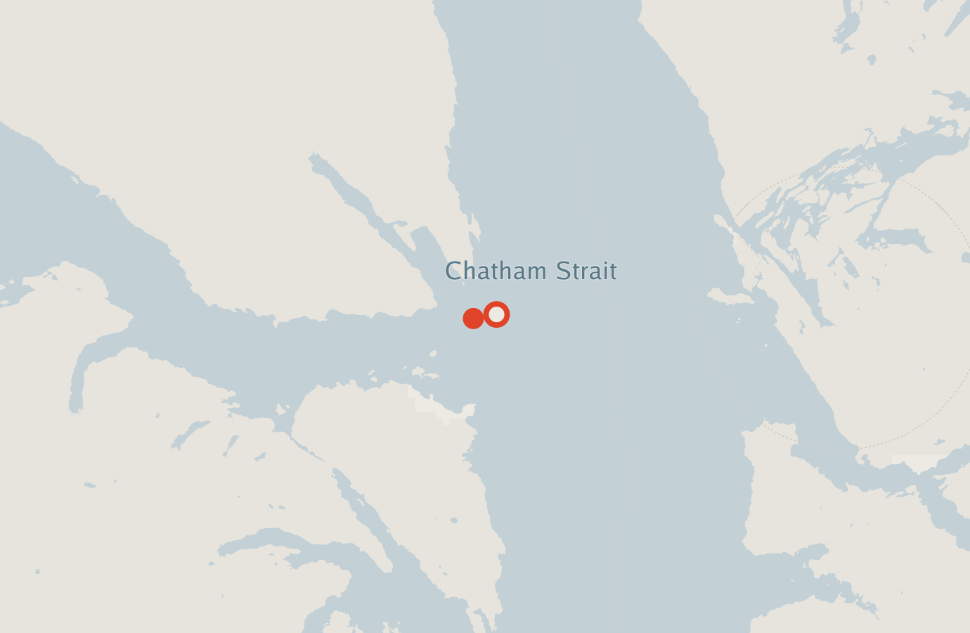Activity map — real sighting points on an OpenStreetMap basemap