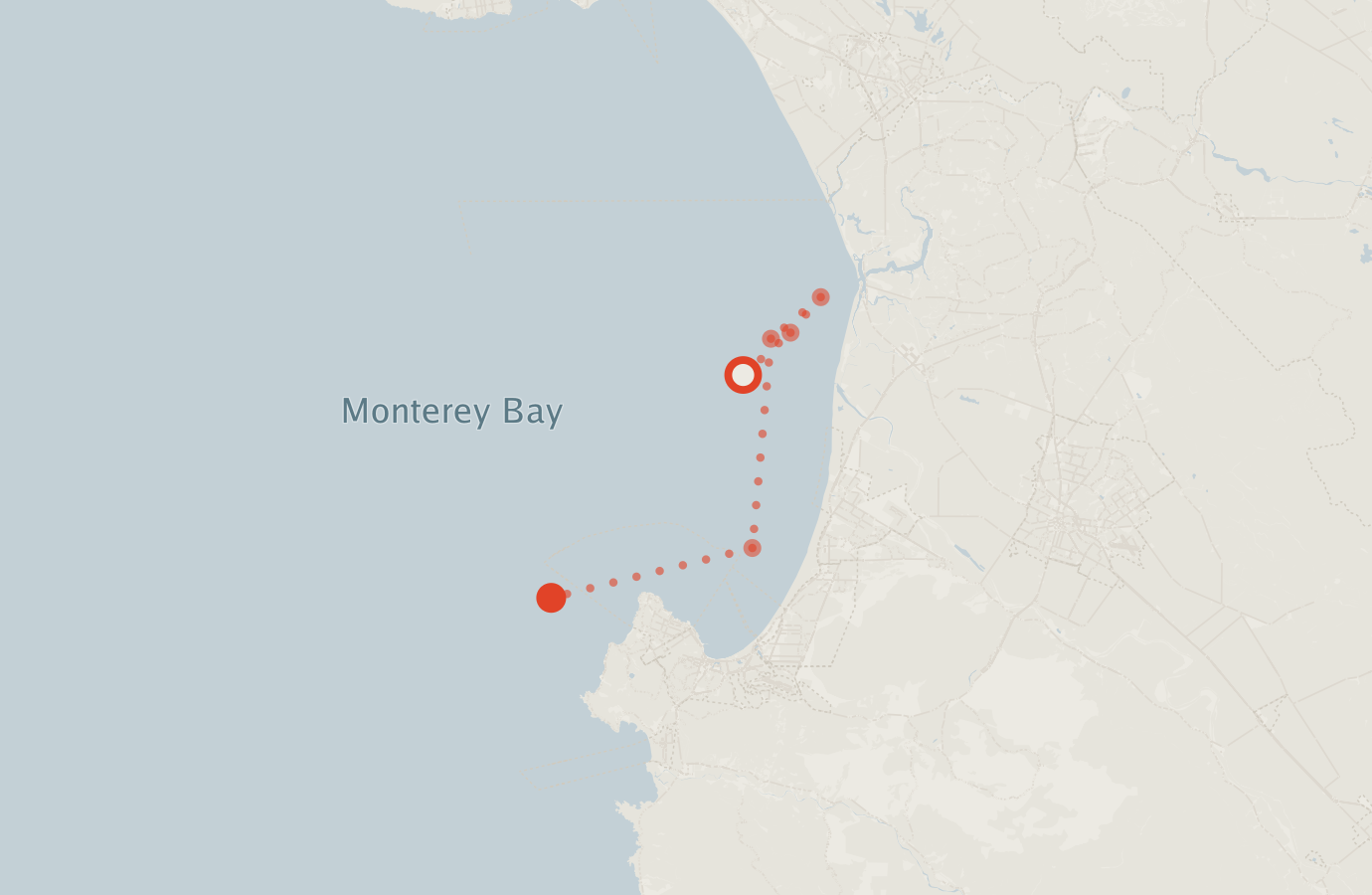 Activity map — real sighting points on an OpenStreetMap basemap