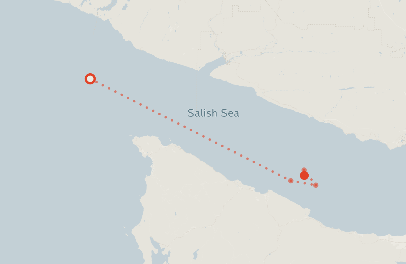 Activity map — real sighting points on an OpenStreetMap basemap